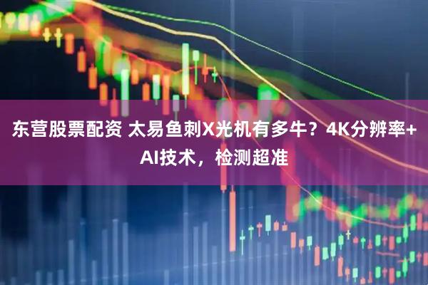 东营股票配资 太易鱼刺X光机有多牛？4K分辨率+AI技术，检测超准