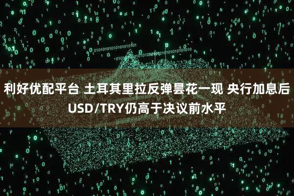 利好优配平台 土耳其里拉反弹昙花一现 央行加息后USD/TRY仍高于决议前水平